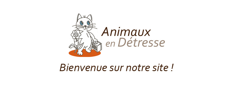 animaux